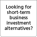 Short-Term Business Investment Alternatives