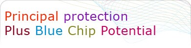 Principal protection plus blue chip potential.
