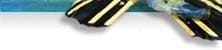 Scuba/Snorkeling Fins