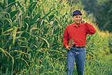 Farmer walking in a corn field.