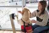 Woman and working dog