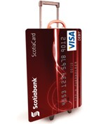 Shop with the power of Visa