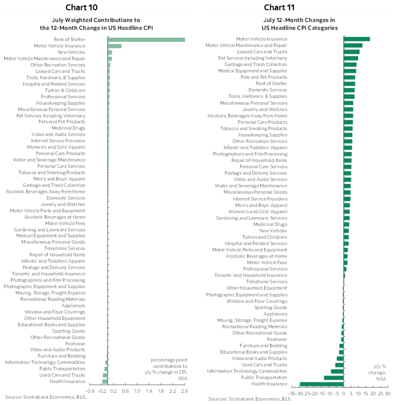 Chart 10: July Weighted Contributions to the 12-Month Change in US Headline CPI; Chart 11: July 12-Month Changes in US Headline CPI Categories 