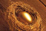 Gold egg in nest
